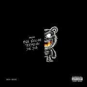 ESA NOCHE TERMINÓ DE DÍA}