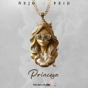 Portada de Sencillo/EP "Princesa (part. Feid)", de Ñejo