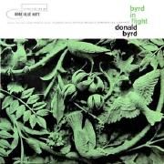 Byrd In Flight}