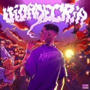 Vida de Cria - Mixtape