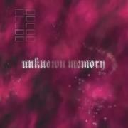 Unknown Memory}