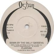 Down By The Sally Gardens