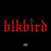 BlkBird}