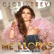 Me Lloras (part. Charly Black)}