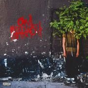 Owl Pharaoh}