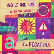 Veo Lo Que Hay (feat. Pj Sin Suela)