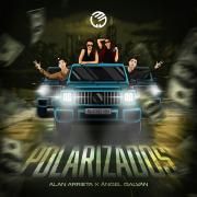 POLARIZADOS