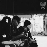 Camarão}