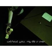 Without You (My Life Is Over)