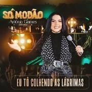 Eu Tô Colhendo As Lágrimas}