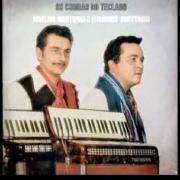 Capa do Álbum "Adelar Bertussi e Itajaíba (Vol. 1)", de Os Cobras Do Teclado