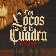 Los Locos de la Cuadra}