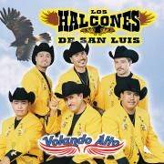 Portada de Álbum "Volando Alto", de Los Halcones de San Luis