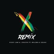 X (feat. Maluma & Ozuna) [Remix]