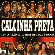 Seu Coração Vai Aprender o Que É Paixão! (Vol. 7)}