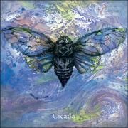Cicada}