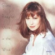 Voices In The Wind