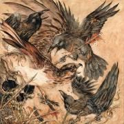 Capa do Álbum "Shadows", de Valkyrie