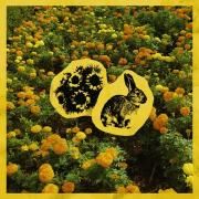 Cover for Single/EP "Pérez Ochoa (part. Flower)" by lorebunii