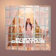 Portões Celestiais