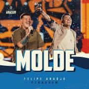 Molde (part. Ferrugem) (Ao Vivo)}