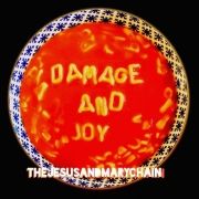 Damage and Joy