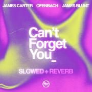 Can't Forget You (Slowed + Reverb)