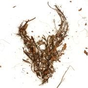 Capa do Álbum "Death, A Destination", de Demon Hunter