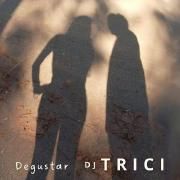 Portada de Sencillo/EP "Degustar", de DJ Trici
