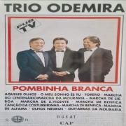 Pombinha Branca