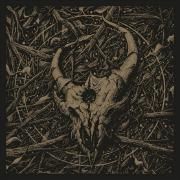 Capa do Álbum "Outlive (Deluxe Edition)", de Demon Hunter