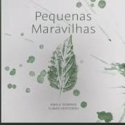 Pequenas Maravilhas}