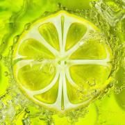 LEMONADE - The 2nd Album}