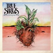 Where The WIld Things Hide And Hunt}