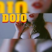Dojo}