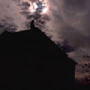 Portada de Sencillo/EP "Take My Heart", de Auraè