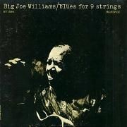 Blues For 9 Strings