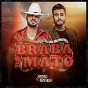 Braba do Mato}