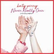 Never Really Over (Syn Cole Remix)}