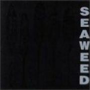 Seaweed