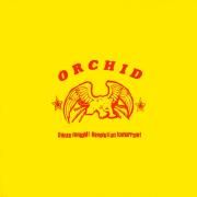 Dance Tonight! Revolution Tomorrow!}