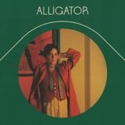 Alligator