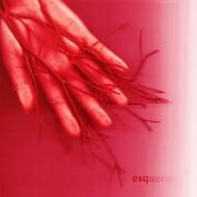 Esquecer (part. Pedro Fonte)}