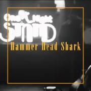 Hammer Head Shark - One Night STAND Live}