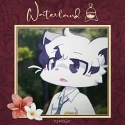 Capa do Single/EP "Waterland", de YonKaGor