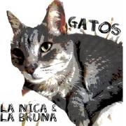Gatos