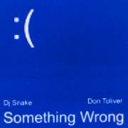 Something Wrong (feat. DJ Snake)}