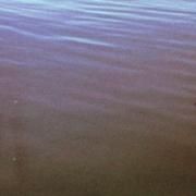 Algún Día (Alicia) el Ganzo Sessions}