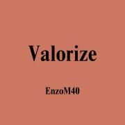 Valorize}