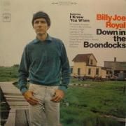 Down In The Boondocks